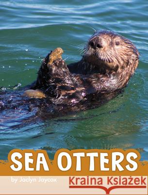 Sea Otters Jaclyn Jaycox 9781663971760 Pebble Books