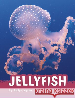 Jellyfish Jaclyn Jaycox 9781663971807