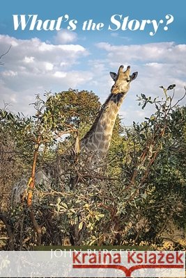 What's the Story? John Burgess 9781664104686