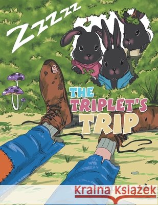 The Triplet's Trip Louchrisa Ford High Schenker d 9781664124066