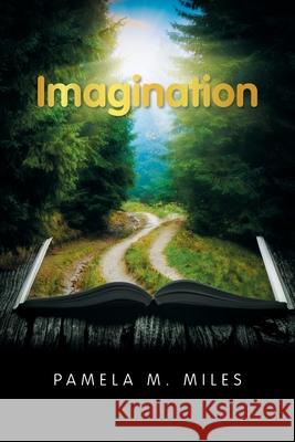 Imagination Pamela M Miles 9781664181632