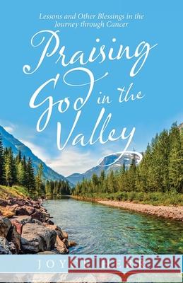 Praising God in the Valley: Lessons and Other Blessings in the Journey Through Cancer Joyce Herr 9781664216648 WestBow Press