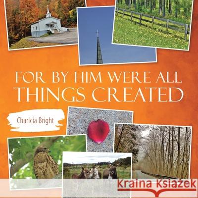 For by Him Were All Things Created Charlcia Bright 9781664235885