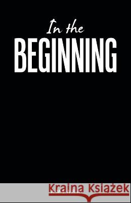 In the Beginning Ameara 9781664274730 WestBow Press