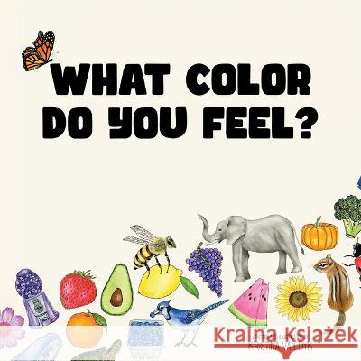 What Color Do You Feel? Kristina Van Dyk 9781664280748 WestBow Press