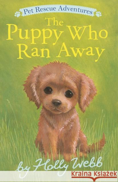 The Puppy Who Ran Away Holly Webb Sophy Williams 9781664340435 Tiger Tales