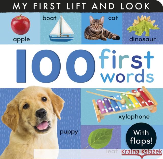 100 First Words: My First Lift and Look Hettie Cox, Tiger Tales 9781664350656
