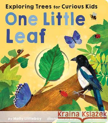 One Little Leaf: Exploring Nature for Curious Kids Molly Littleboy Bryony Clarkson 9781664350922 Tiger Tales