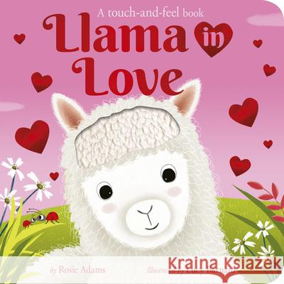 Llama in Love: A Touch-And-Feel Book Rosie Adams Lucy Barnard 9781664351301