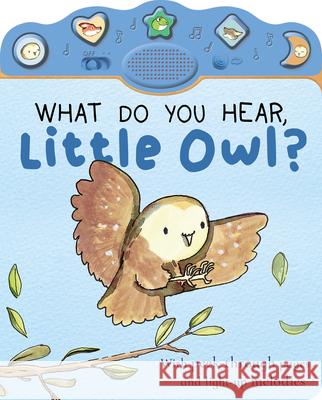 What Do You Hear, Little Owl? Nicola Edwards Thomas Elliott 9781664352421 Tiger Tales