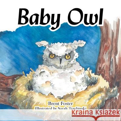 Baby Owl Brent Foster, Sarah Terebinski 9781665529914