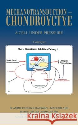Mechanotransduction - Chondroyctye: A Cell Under Pressure Amrit Rattan K. Baidwa 9781665595209 Authorhouse UK