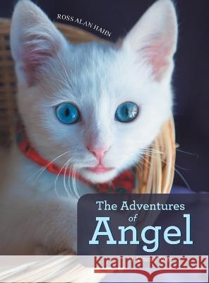 The Adventures of Angel: A Kitten's Story Ross Alan Hahn   9781665723169 Archway Publishing