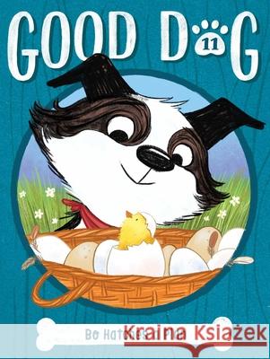 Bo Hatches a Plan Cam Higgins Ariel Landy 9781665930765