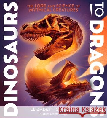 Dinosaurs to Dragons Elizabeth Shreeve 9781665941006 Simon & Schuster