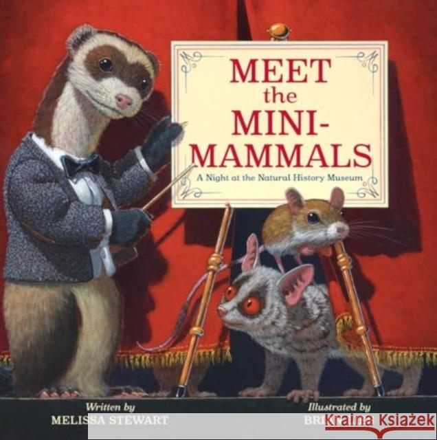 Meet the Mini-Mammals: A Night at the Natural History Museum Melissa Stewart Brian Lies 9781665947169 Beach Lane Books