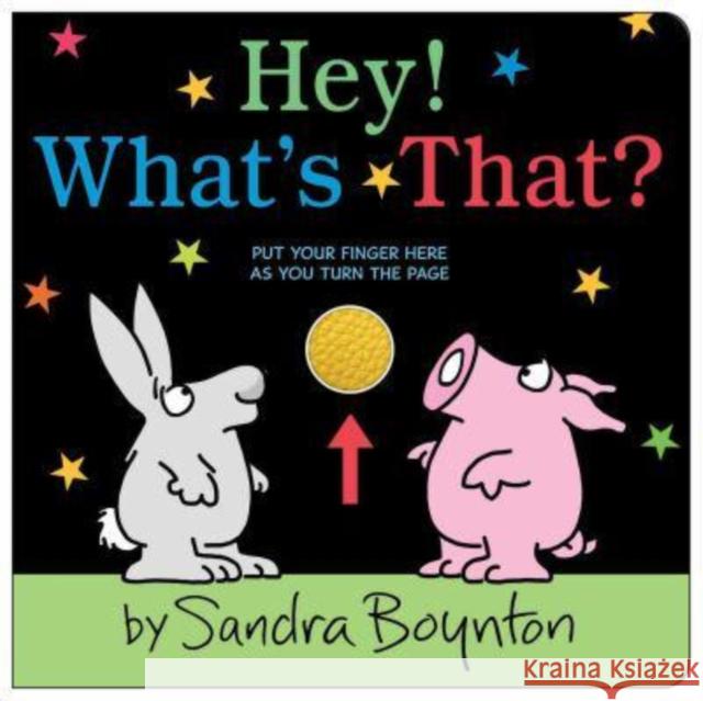 Hey! What's That? Sandra Boynton 9781665952187 Simon & Schuster