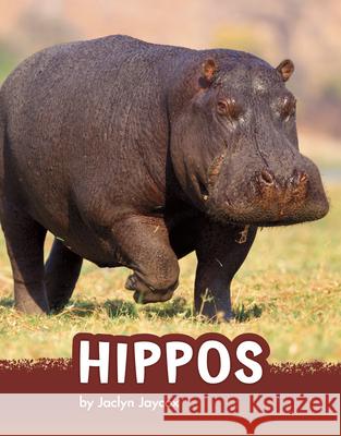 Hippos Jaclyn Jaycox 9781666325713 Pebble Books