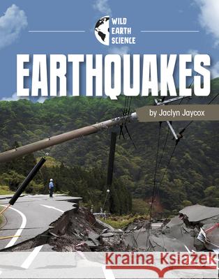 Earthquakes Golriz Golkar 9781666327151 Pebble Books
