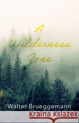 A Wilderness Zone Walter Brueggemann 9781666701234 Cascade Books