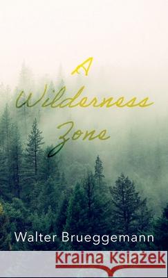 A Wilderness Zone Walter Brueggemann 9781666701241