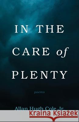 In the Care of Plenty Allan Hugh, Jr. Cole 9781666702743 Resource Publications (CA)
