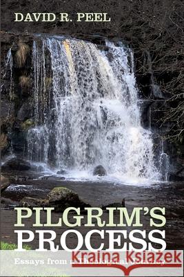Pilgrim's Process David R. Peel 9781666709162