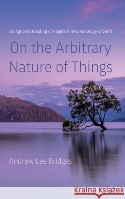 On the Arbitrary Nature of Things Andrew Lee Bridges   9781666714067 Pickwick Publications