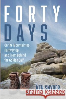 Forty Days Ken Snyder Nate Larkin 9781666733785