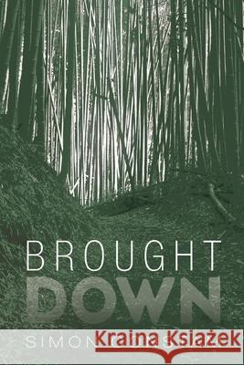 Brought Down Simon Constam 9781666734355 Resource Publications (CA)