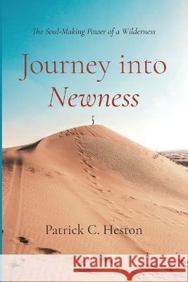 Journey into Newness Heston, Patrick C. 9781666734737 Wipf & Stock Publishers