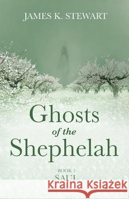 Ghosts of the Shephelah, Book 3 James K. Stewart 9781666735512