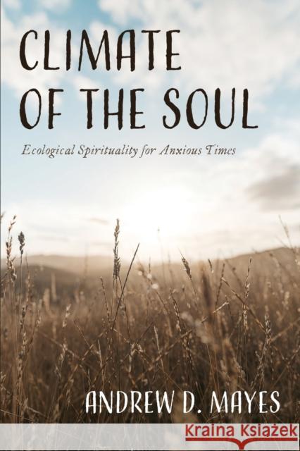 Climate of the Soul Andrew D. Mayes 9781666737134
