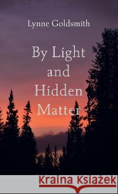 By Light and Hidden Matter Lynne Goldsmith 9781666759617