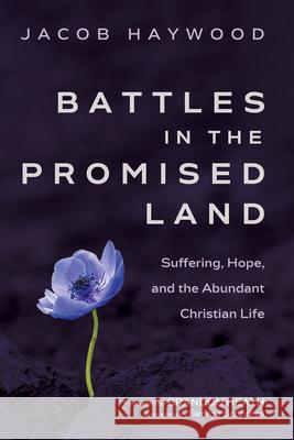 Battles in the Promised Land Jacob Haywood Brandon Heath George Scondras 9781666763898