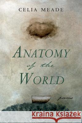 Anatomy of the World Celia Meade 9781666770995 Resource Publications (CA)