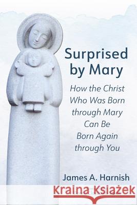Surprised by Mary: How the Christ Who Was Born Through Mary Can Be Born Again Through You James A. Harnish Donna Claycom 9781666774221 Cascade Books