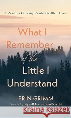 What I Remember of the Little I Understand Erin Grimm Gwen Benedict Joycelynn Baker 9781666775433 Resource Publications (CA)