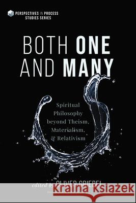 Both One and Many: Spiritual Philosophy beyond Theism, Materialism, and Relativism Oliver Griebel Andrew M. Davis 9781666781649
