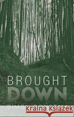 Brought Down Simon Constam 9781666790115 Resource Publications (CA)