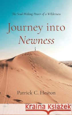 Journey into Newness Heston, Patrick C. 9781666790788 Wipf & Stock Publishers