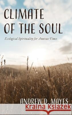 Climate of the Soul Andrew D. Mayes 9781666796247