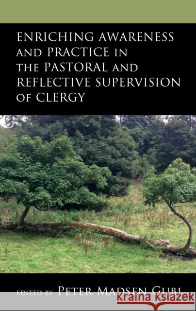 Enriching Awareness and Practice in the Pastoral and Reflective Supervision of Clergy  9781666909852 Lexington Books