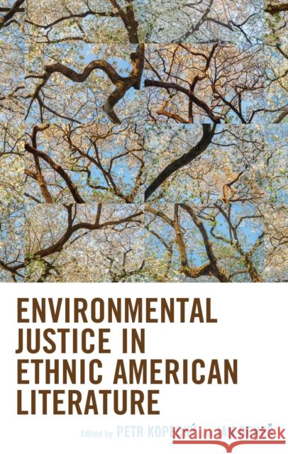 Environmental Justice in Ethnic American Literature Petr Kopeck? Jan Benes Petr Kopeck? 9781666919004 Lexington Books