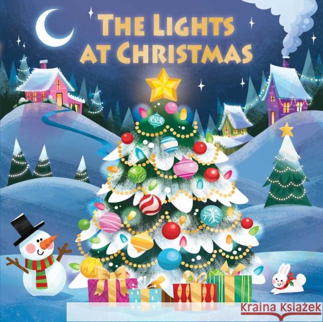 The Lights at Christmas Courtney Acampora Steph Lew 9781667200910 Silver Dolphin Books