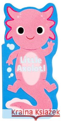 Little Axolotl Maggie Fischer Yi-Hsuan Wu 9781667210421 Silver Dolphin Books