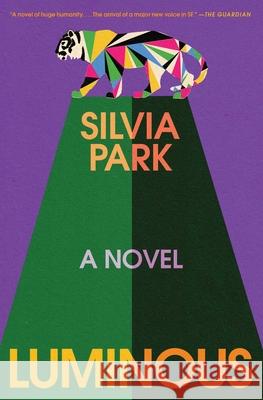 Luminous Silvia Park 9781668021675 Simon & Schuster