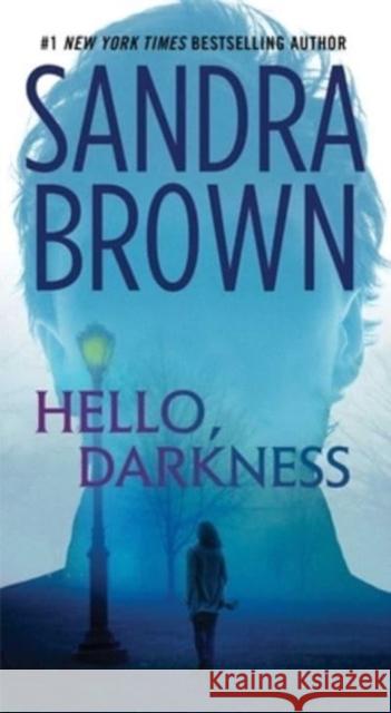 Hello, Darkness Sandra Brown 9781668026564 Pocket Books