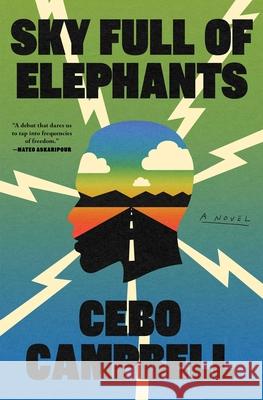 Sky Full of Elephants Cebo Campbell 9781668034927 Simon & Schuster