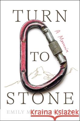 Turn to Stone: A Memoir Emily Meg Weinstein 9781668047859 S&s/Simon Element